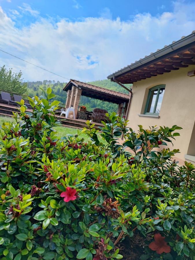 Villa Giulia Fashion B&B Strada in Chianti Zewnętrze zdjęcie